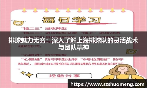 排球魅力无穷：深入了解上海排球队的灵活战术与团队精神