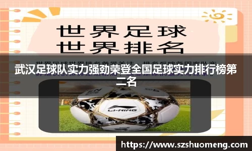 武汉足球队实力强劲荣登全国足球实力排行榜第二名