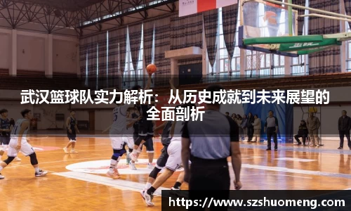 武汉篮球队实力解析：从历史成就到未来展望的全面剖析